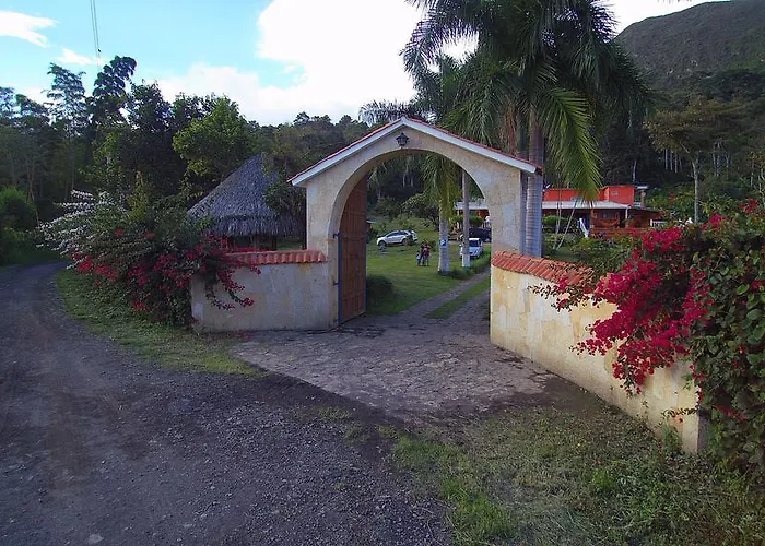 Finca Cafetera Las Mercedes