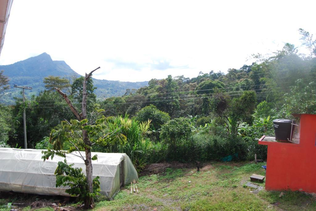 Cafetera Mercedes