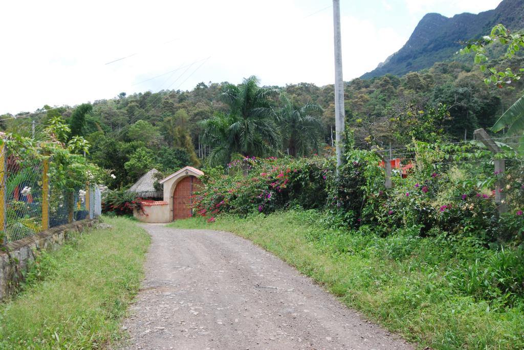 Farm stay Cafetera Mercedes