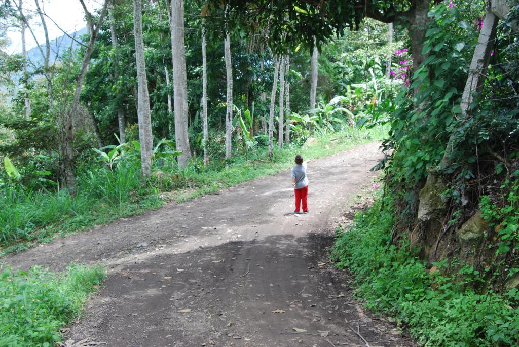 Farm stay Cafetera Mercedes Cumaca