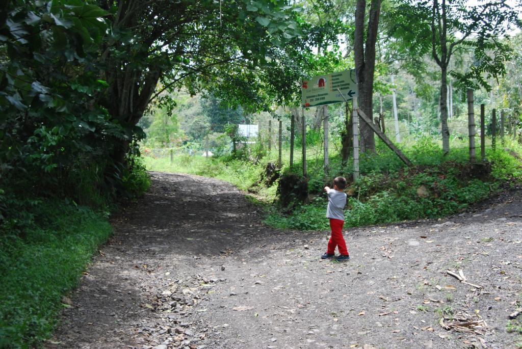 Farm stay Cafetera Mercedes Cumaca