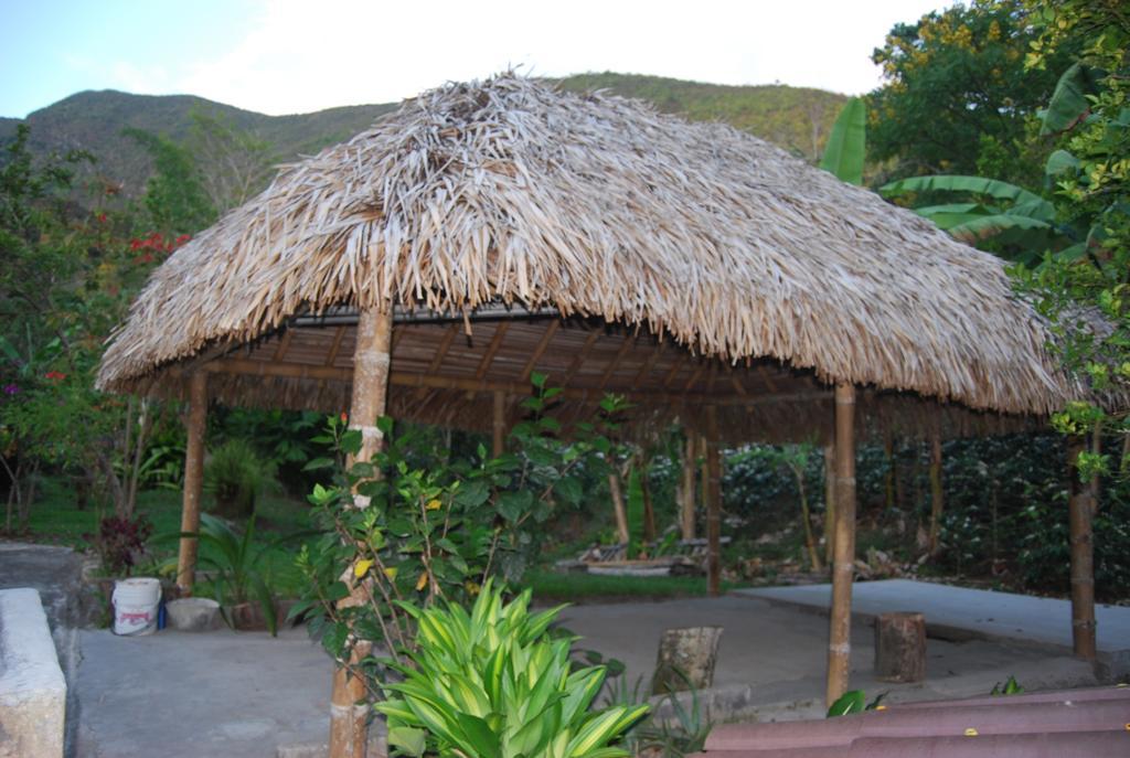 Farm stay Cafetera Mercedes